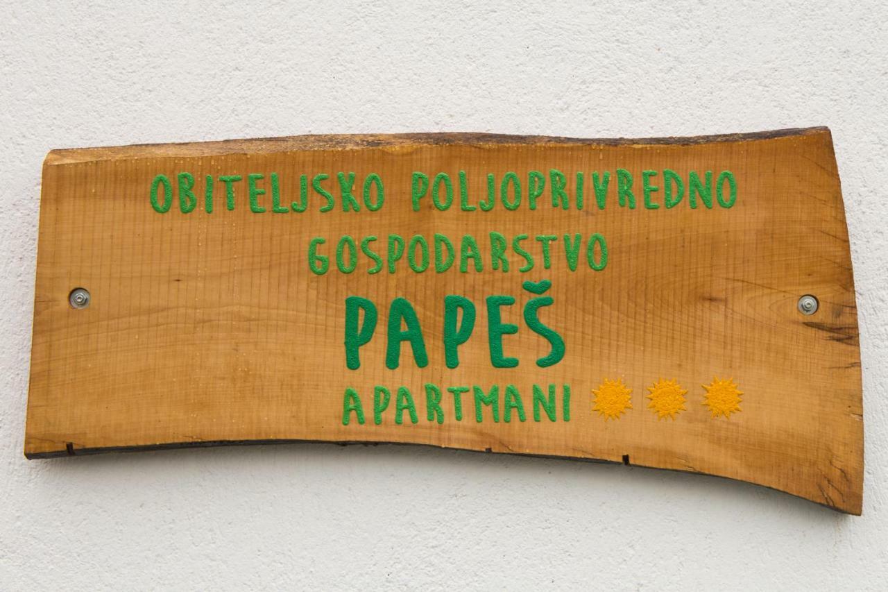 Apartmani Papes Krapina Extérieur photo